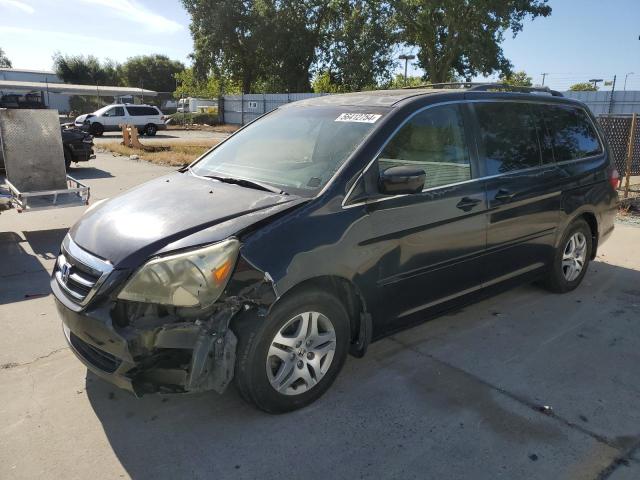 honda odyssey ex 2005 5fnrl386x5b054651