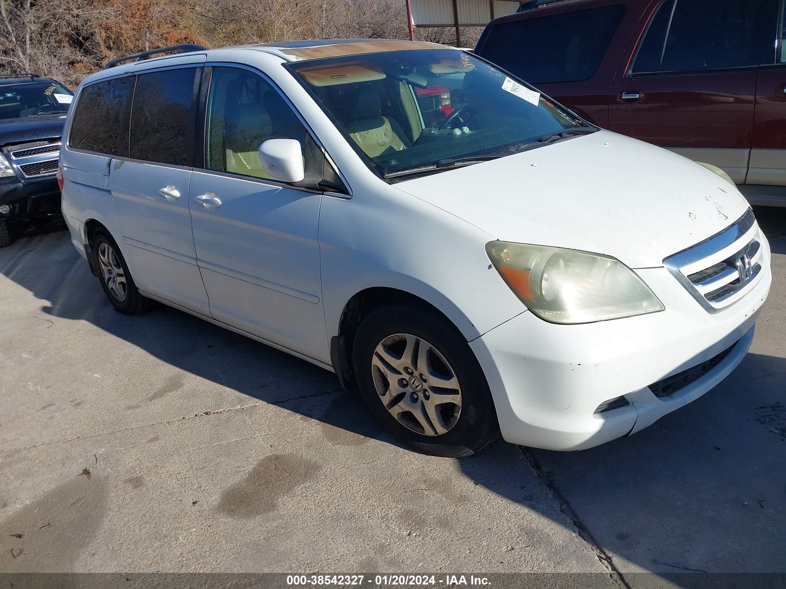 honda odyssey 2005 5fnrl386x5b412704