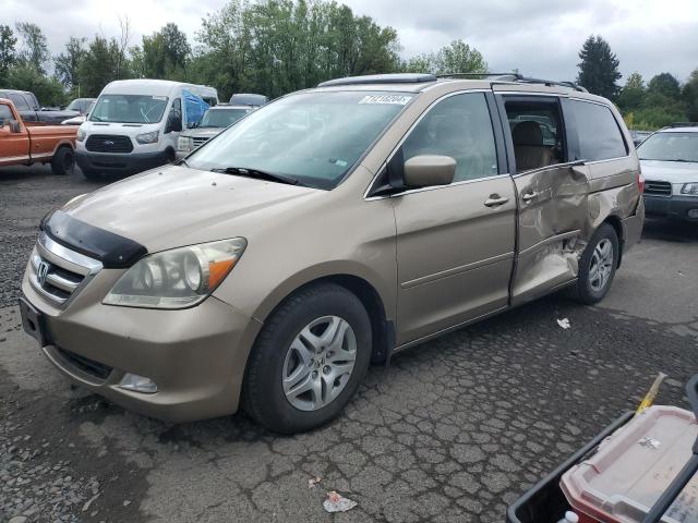 honda odyssey ex 2006 5fnrl386x6b419556