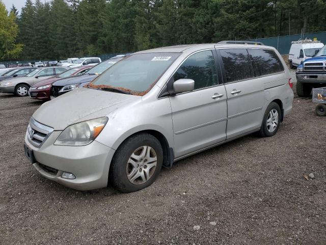 honda odyssey ex 2006 5fnrl38706b039019