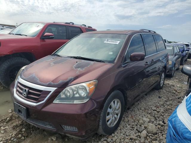 honda odyssey ex 2009 5fnrl38709b410071