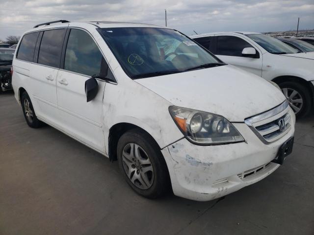 honda odyssey ex 2007 5fnrl38717b017693