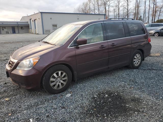 honda odyssey ex 2009 5fnrl38719b403517