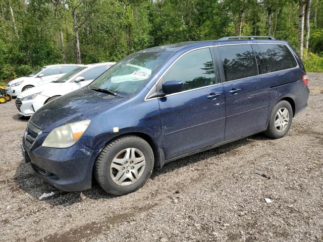 honda odyssey ex 2005 5fnrl38725b507556