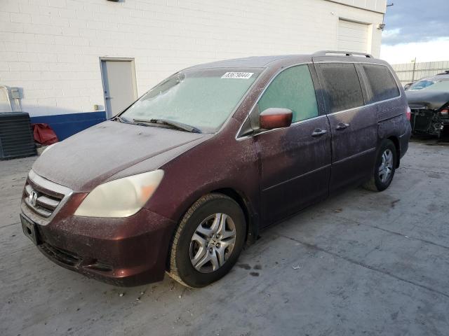 honda odyssey ex 2007 5fnrl38727b401806