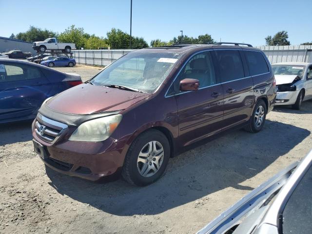 honda odyssey ex 2007 5fnrl38727b401837