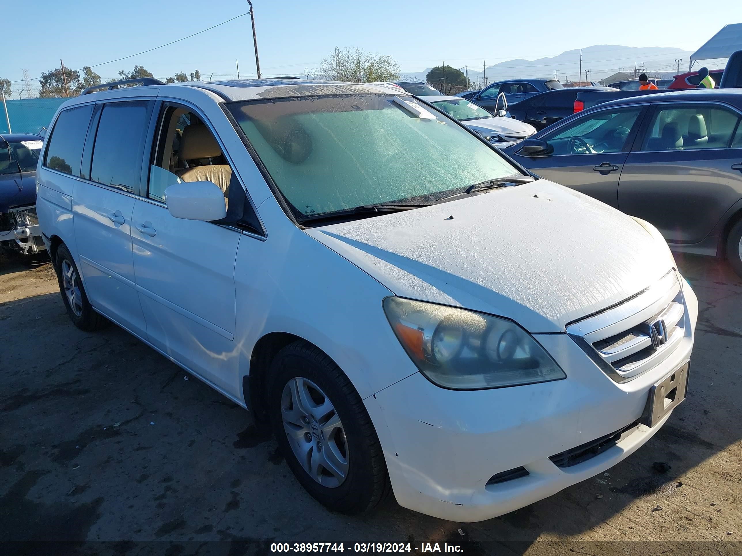 honda odyssey 2007 5fnrl38727b462234