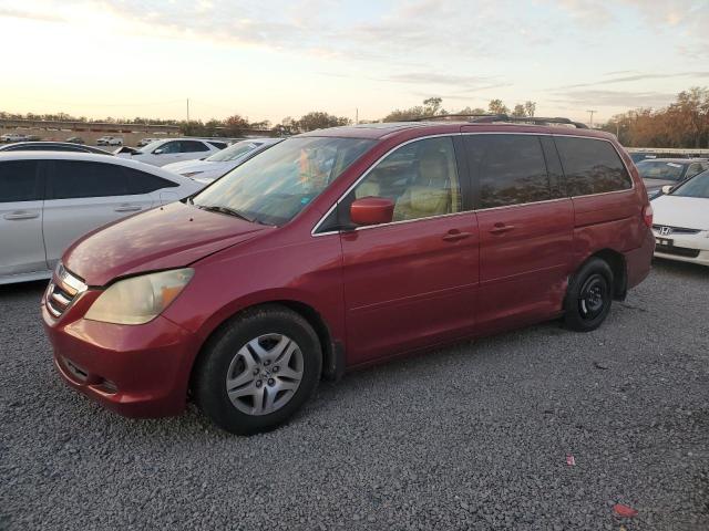 honda odyssey 2006 5fnrl38736b034963