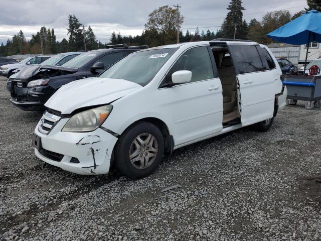 honda odyssey ex 2006 5fnrl38746b419383