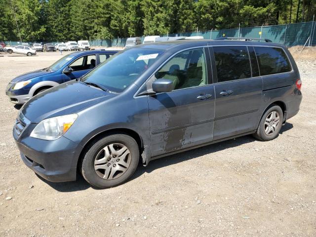 honda odyssey ex 2005 5fnrl38755b069812