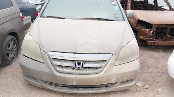 honda odyssey 2005 5fnrl38755b087940