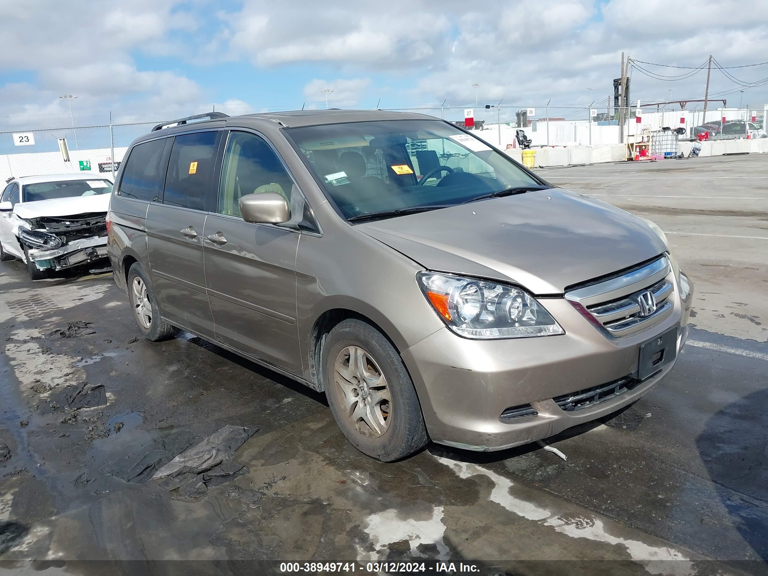 honda odyssey 2005 5fnrl38755b096816