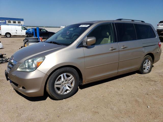 honda odyssey 2005 5fnrl38755b122847