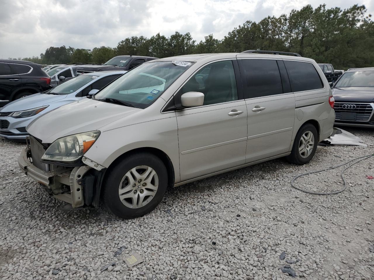 honda odyssey 2006 5fnrl38756b412250