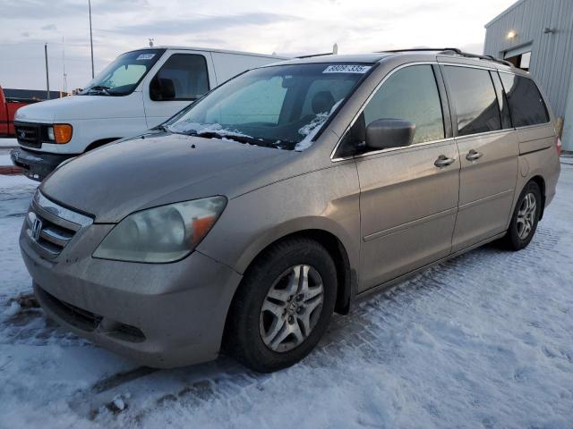 honda odyssey ex 2006 5fnrl38766b506959