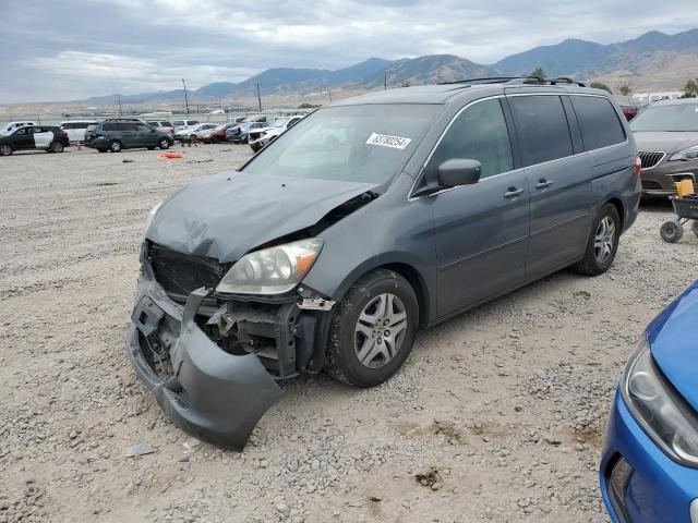 honda odyssey ex 2007 5fnrl38767b415014