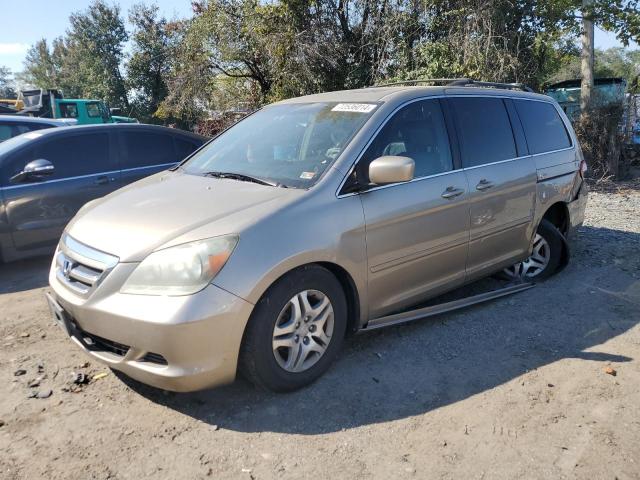 honda odyssey ex 2005 5fnrl38775b075711