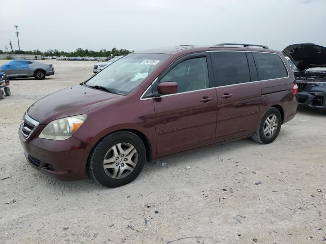 honda odyssey ex 2007 5fnrl38777b425602