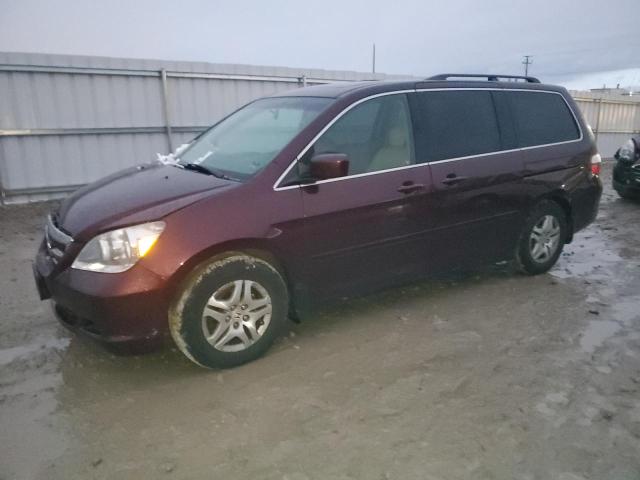 honda odyssey ex 2007 5fnrl38777b456445