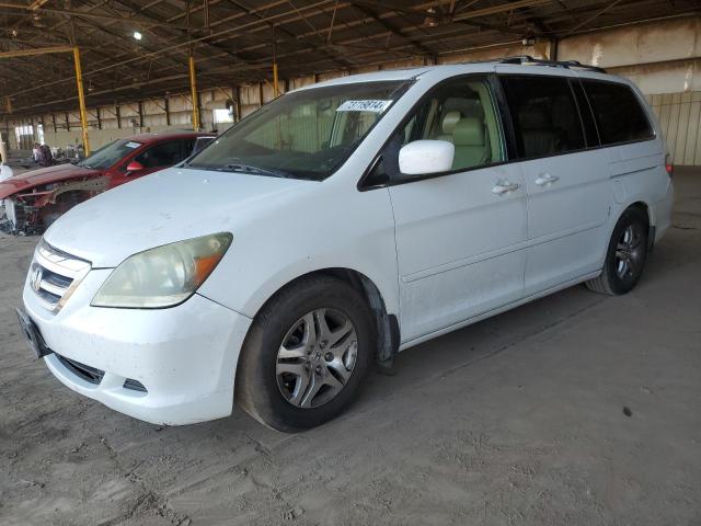 honda odyssey ex 2005 5fnrl38785b087897