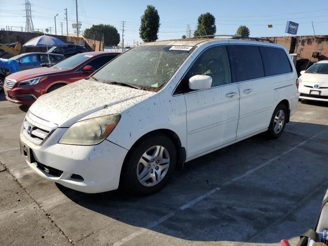 honda odyssey ex 2006 5fnrl38786b029242