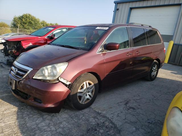 honda odyssey ex 2007 5fnrl38787b456406