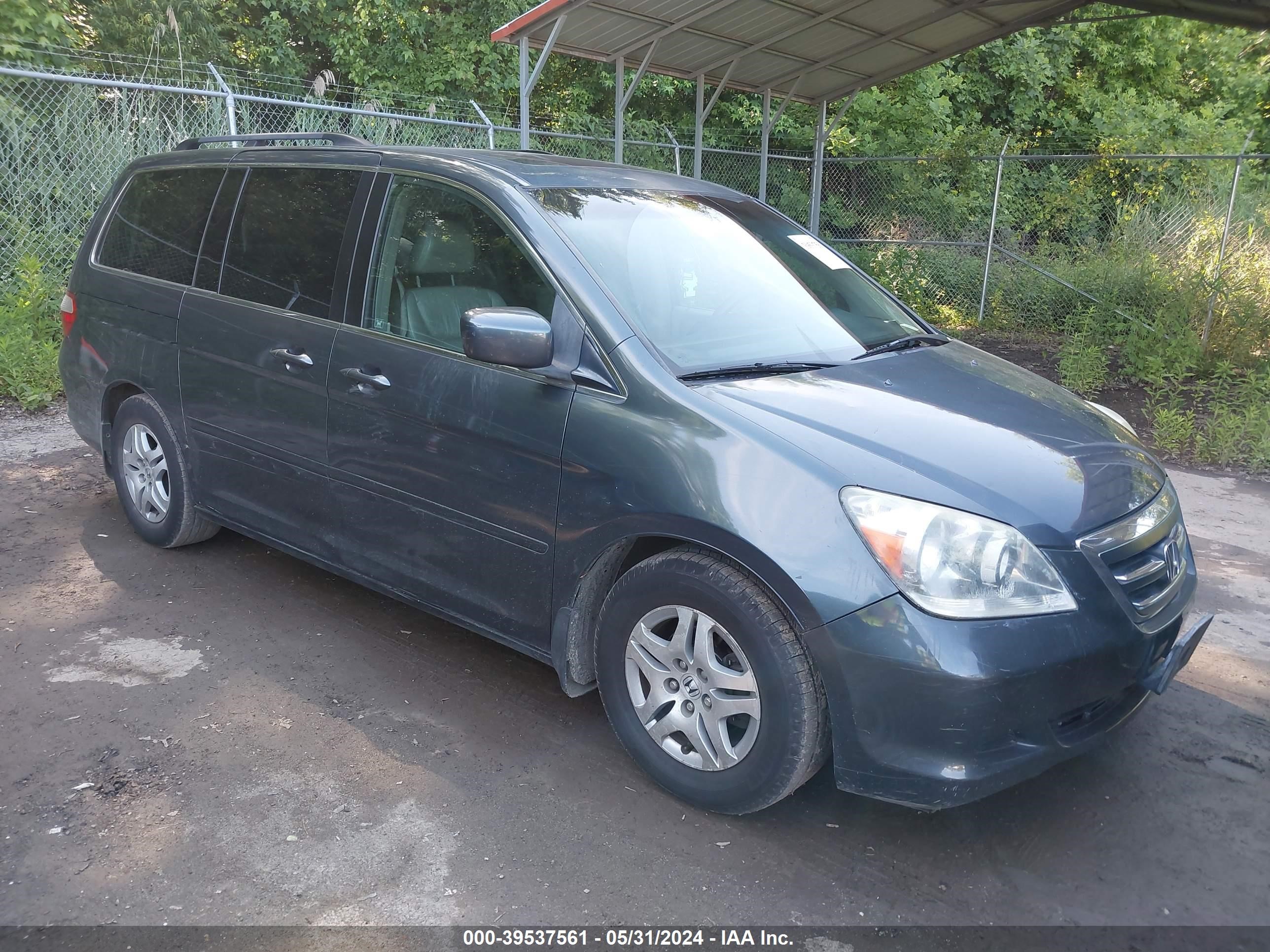 honda odyssey 2005 5fnrl38795b118543