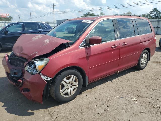 honda odyssey ex 2006 5fnrl38796b436373