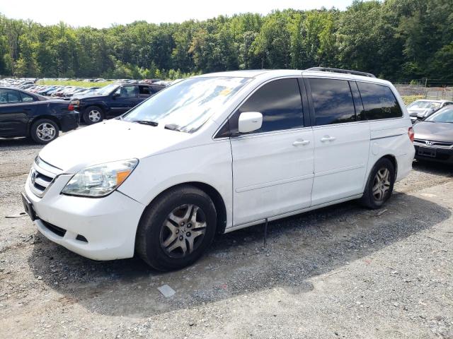 honda odyssey ex 2007 5fnrl38797b402337