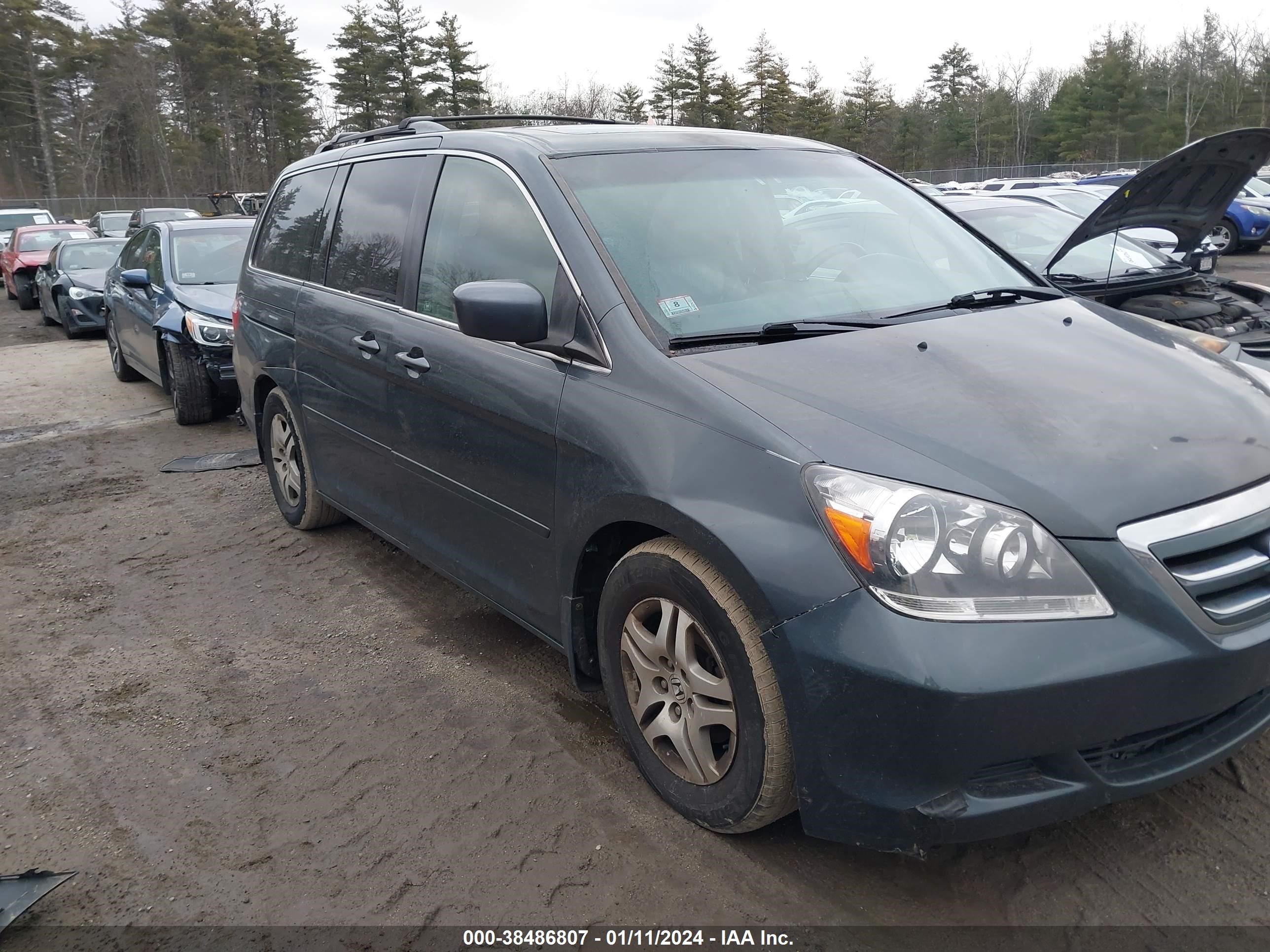 honda odyssey 2005 5fnrl387x5b086038