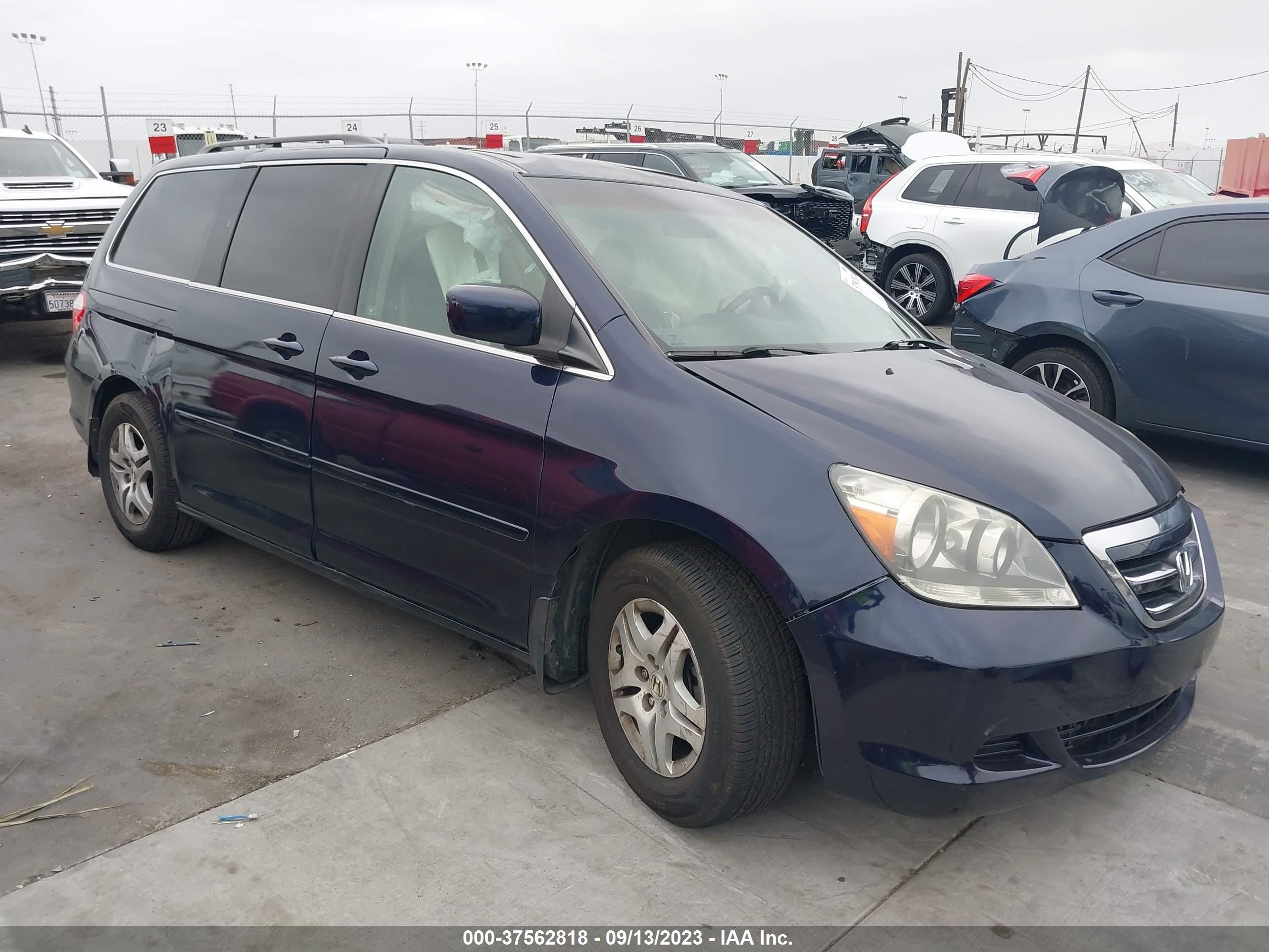 honda odyssey 2005 5fnrl387x5b130944