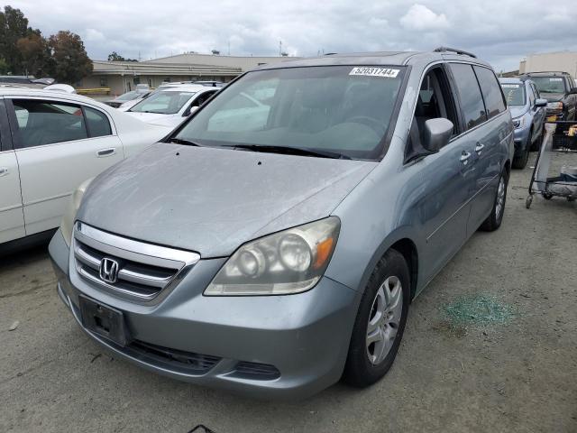 honda odyssey ex 2007 5fnrl387x7b054483