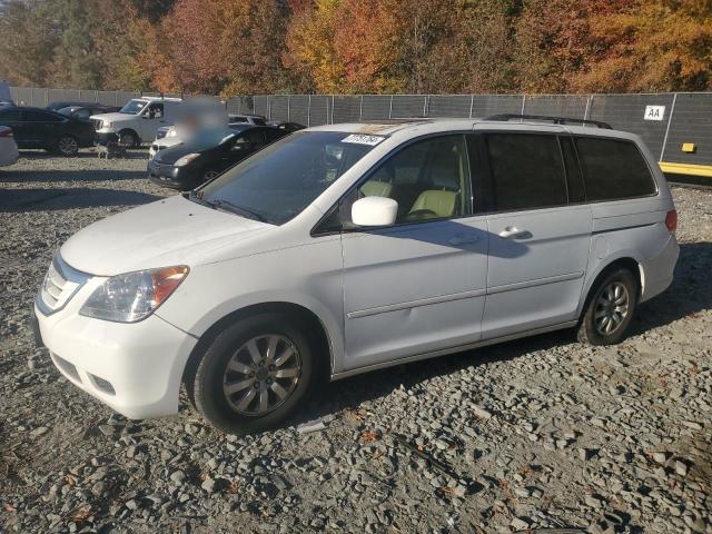 honda odyssey ex 2009 5fnrl387x9b019199