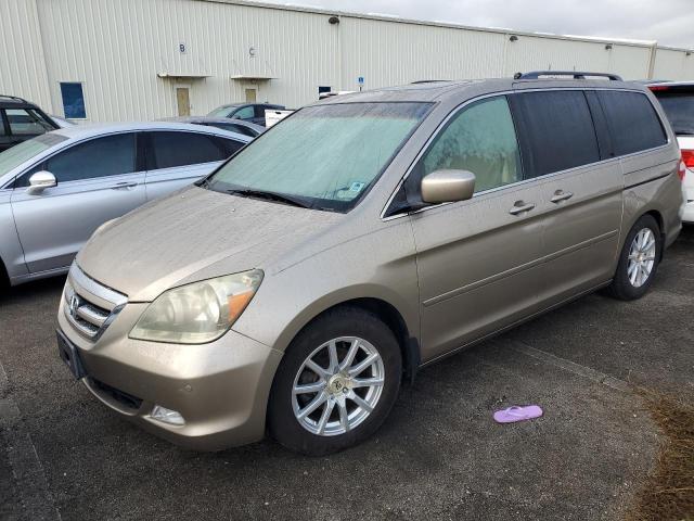 honda odyssey to 2005 5fnrl38805b037312