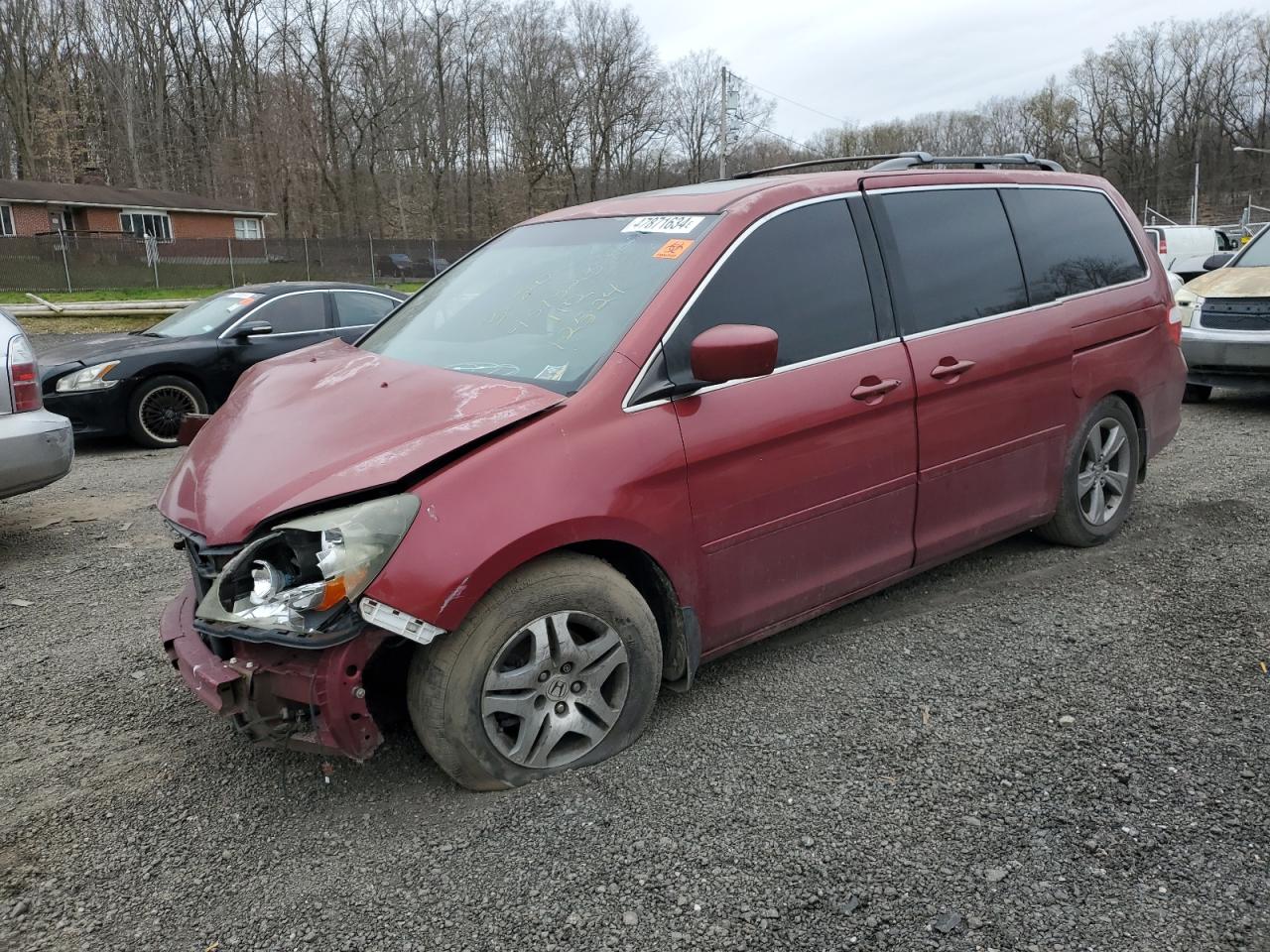 honda odyssey 2005 5fnrl38805b048231