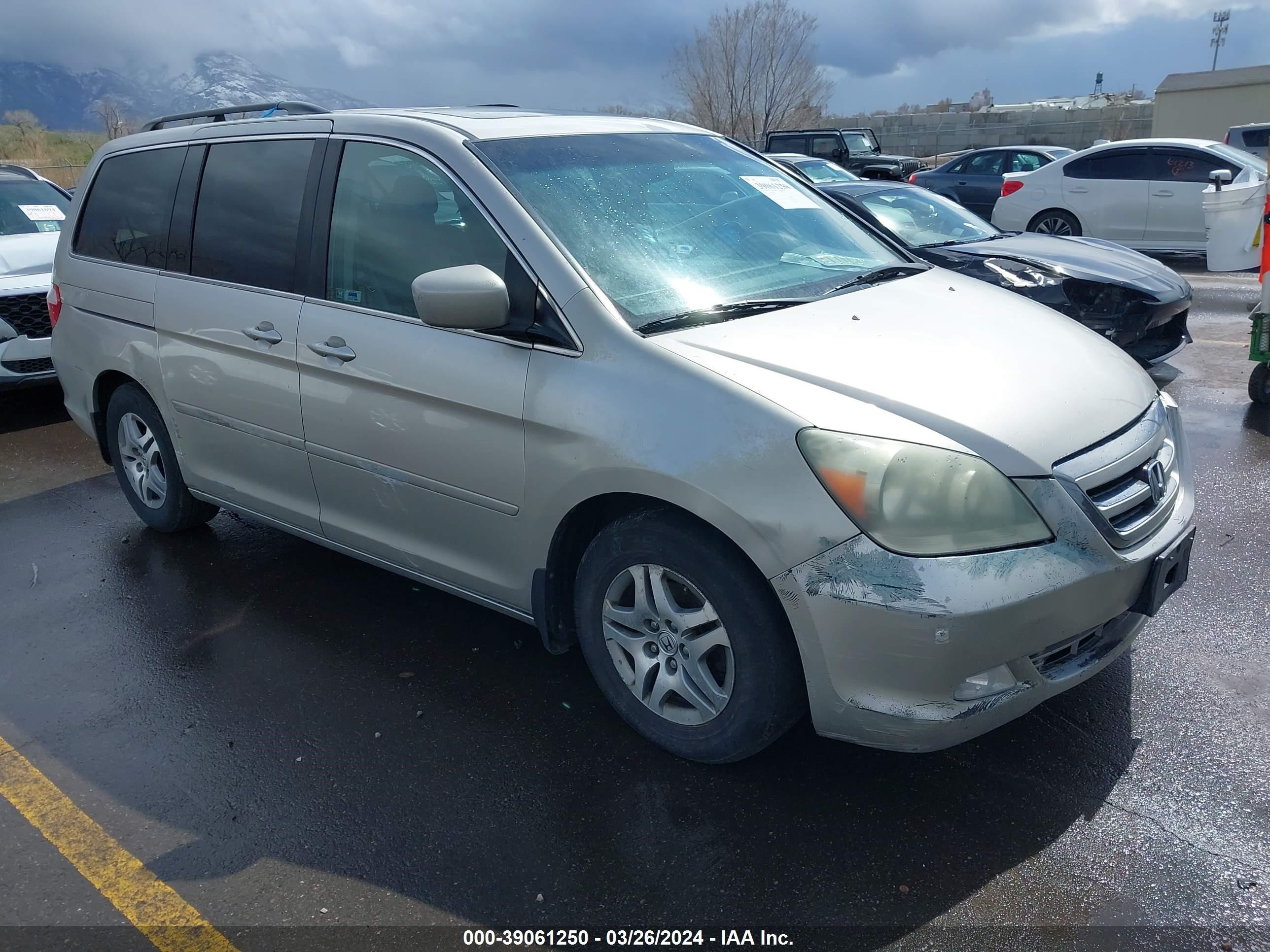 honda odyssey 2006 5fnrl38806b053530