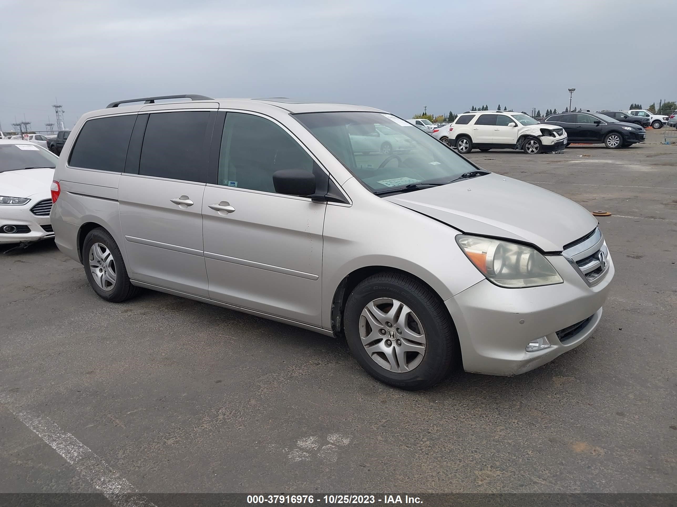 honda odyssey 2006 5fnrl38816b058557