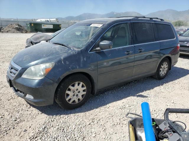 honda odyssey 2005 5fnrl38825b131661