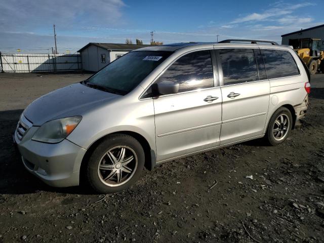 honda odyssey to 2005 5fnrl38835b093843