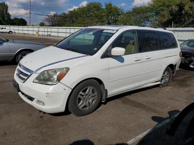 honda odyssey to 2006 5fnrl38846b054406