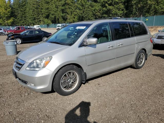 honda odyssey to 2006 5fnrl38846b103653