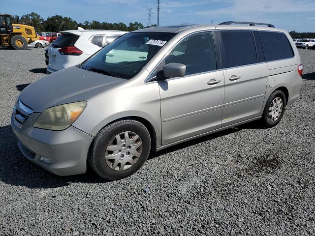 honda odyssey to 2005 5fnrl38865b086210