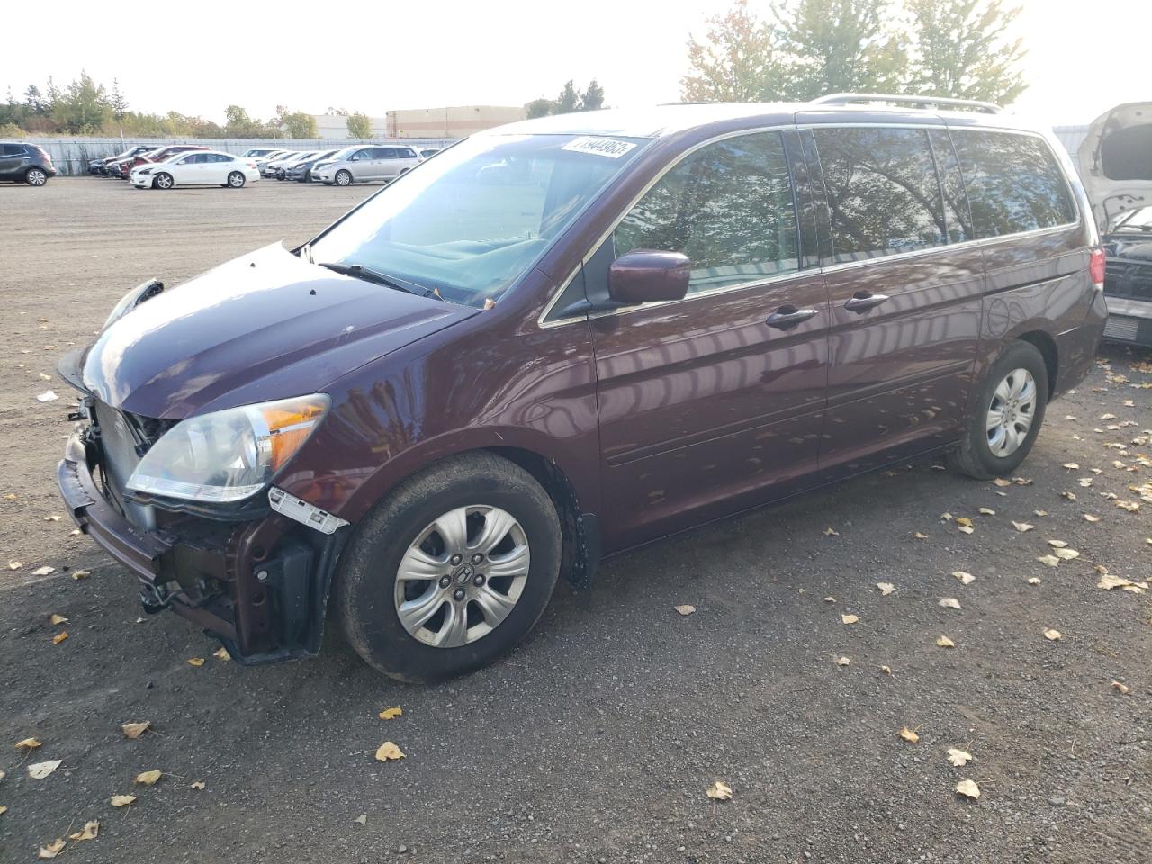 honda odyssey 2010 5fnrl3h54ab508863