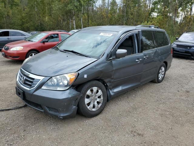 honda odyssey ex 2010 5fnrl3h59ab504632