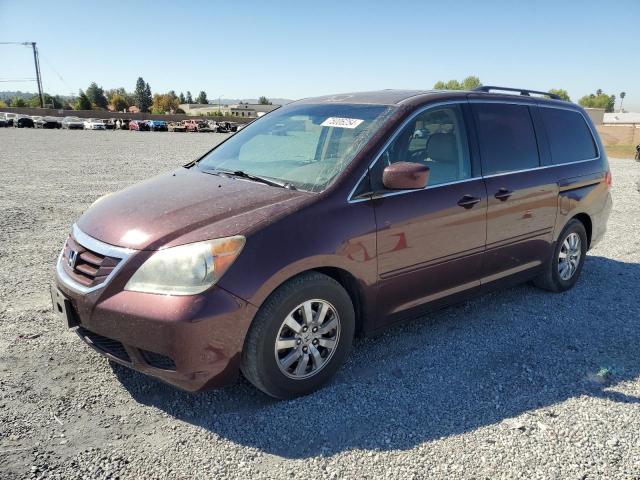 honda odyssey ex 2010 5fnrl3h61ab078833