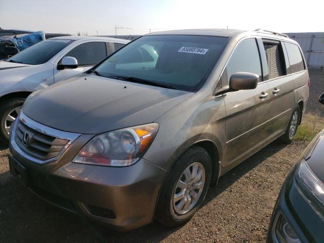 honda odyssey ex 2010 5fnrl3h64ab097098