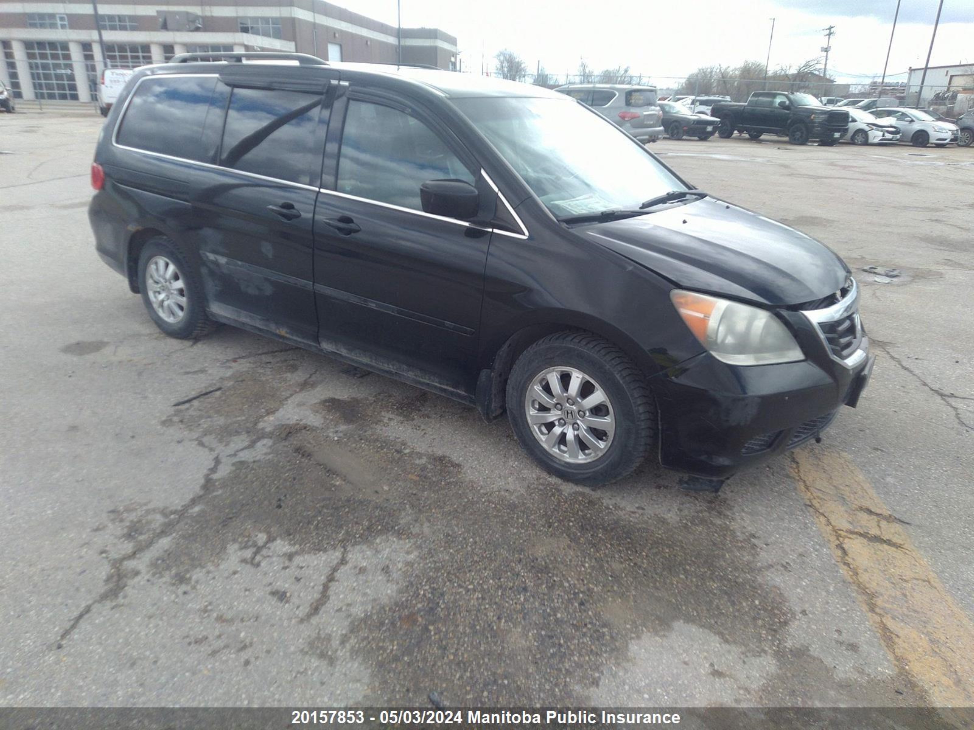 honda odyssey 2010 5fnrl3h64ab507351