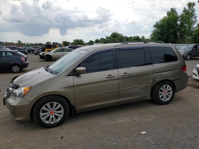 honda odyssey ex 2010 5fnrl3h67ab507229