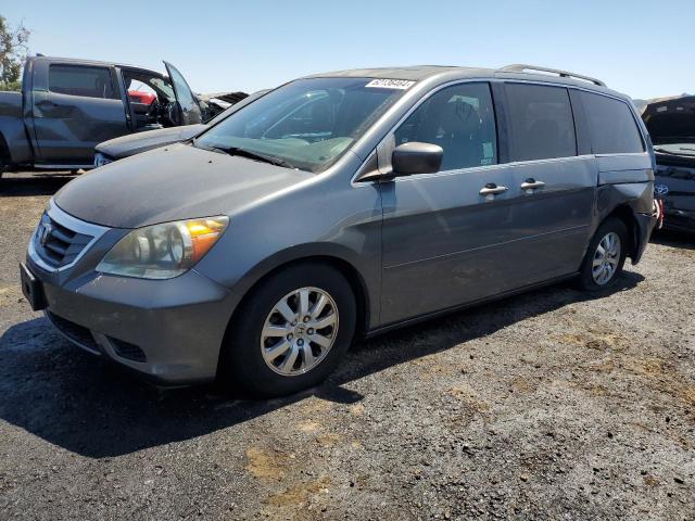 honda odyssey ex 2010 5fnrl3h71ab055061