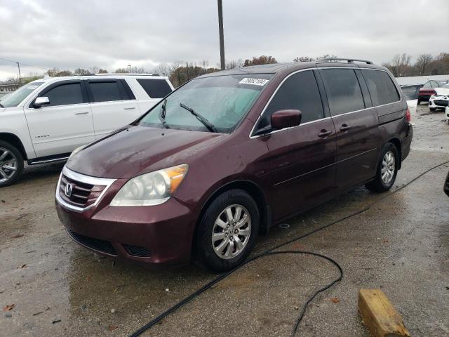 honda odyssey ex 2010 5fnrl3h72ab076128